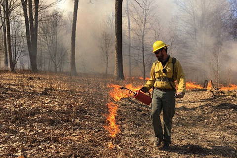 BLOG IMAGE - Forester Pete Zoschg works a prescribed burn.jpg