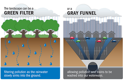 Text: The landscape can be a GREEN FILTER filtering pollution as the rainwater slowly sinks into the ground. Or a GRAY FUNNEL al