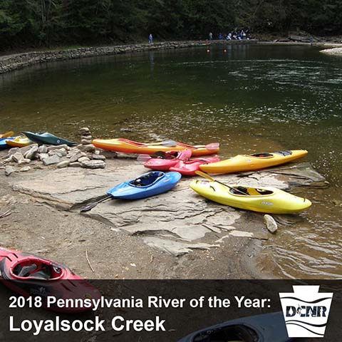 BLOG IMAGE - river of the year.jpg