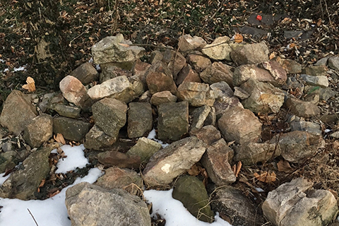 Rock pile in a wooded area