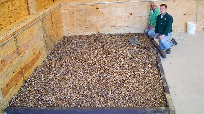Two people kneel next to a low, wide, square pile of acorns indoors.