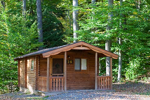 A modern log cabin is near trees at Hills Creek State Park.