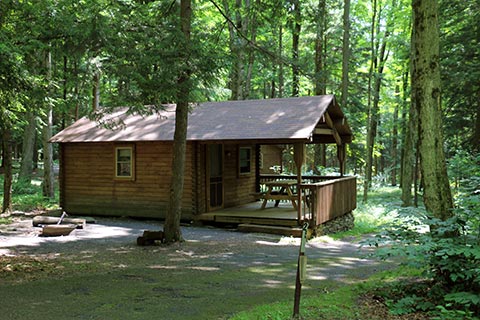 A cozy, modern log cabin is in a forest at Lackawanna State Park.