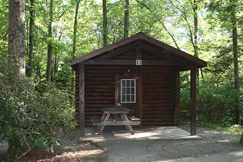 A small log cabin is surrounded by forest at Tuscarora State Park.