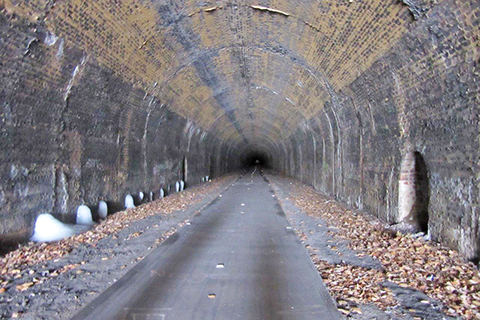 Allegheny River Trail Tunnel BLOG.jpg