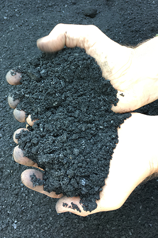 Biochar on the ground and in hands