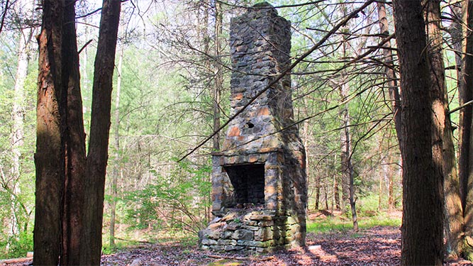 A tall, stone chimney and fireplace stand in the woods, abandoned.