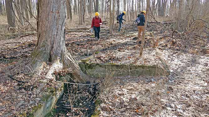 A group of people walk through a wooded area full of dead leaves, and small shrubs during winter. A small, stone structure is pa