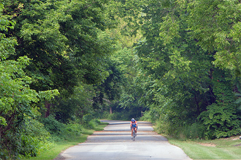 Outdoors, nature, trees, people, path, bike