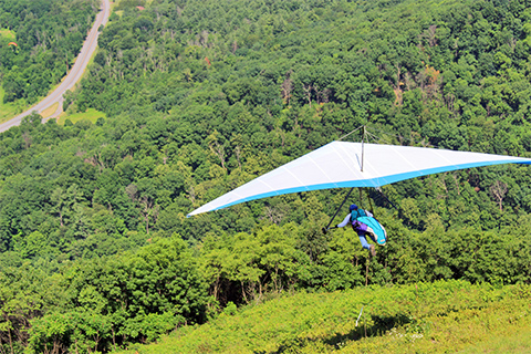 Outdoors, nature, person, hang glider, trees, mountain