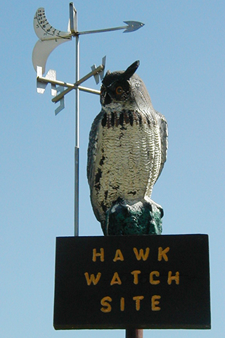 Hawk Watch Site Fort Washington State Park