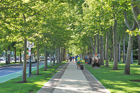 Image of the sidewalk parallel with the Benjamin Franklin Parkway leading towards the Philadelphia Museum of Art
