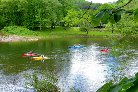 outdoors, nature, water, creek ,boats, people, kayaks, paddles, trees, leaves, sky