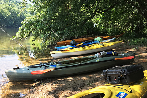 Kayaks at River Island.jpg