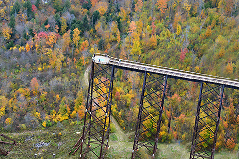 Kinzua Bridge State Park Fall Foliage Image.jpg