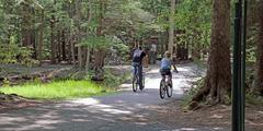 Man and young girl ride bikes on the paved Lake Loop Trail at Locust Lake State Park