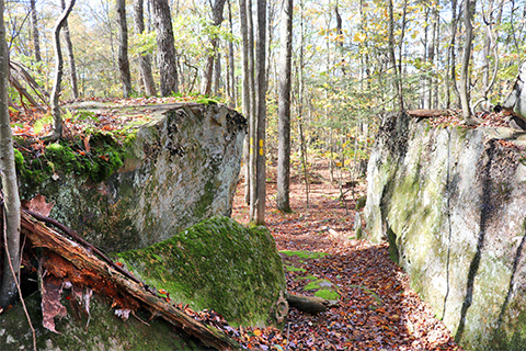 Large boulders sit next to a foot path in the woods.