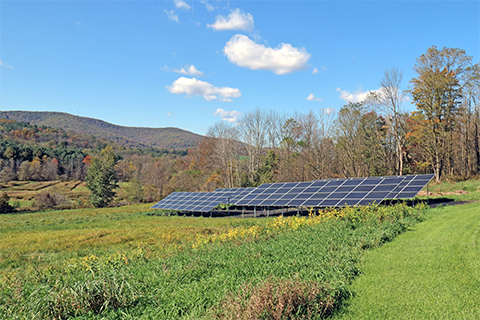 Outdoors, nature, field, mountains, plants, trees, solar panels