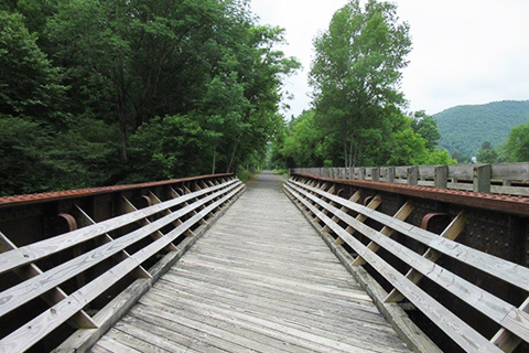 BLOG IMAGE - pine creek rail trail feature.jpg