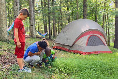 Outdoors, nature, kids, people, tent, camp