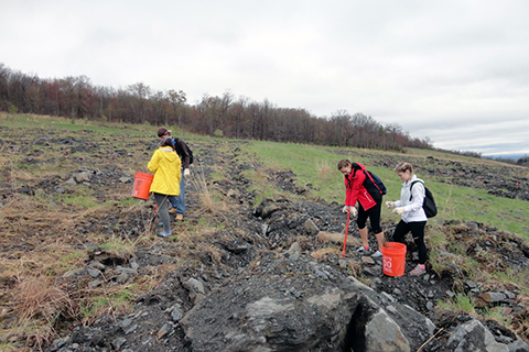 Reclamation planting at Pinchot State Forest in 2017 Cropped.jpg