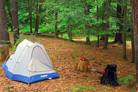 Camping, Tent, outdoors, nature, trees, backpack, ground, plants
