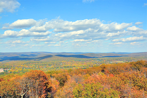 A vista view of forested mountains in the fall times, stretching into the distance.