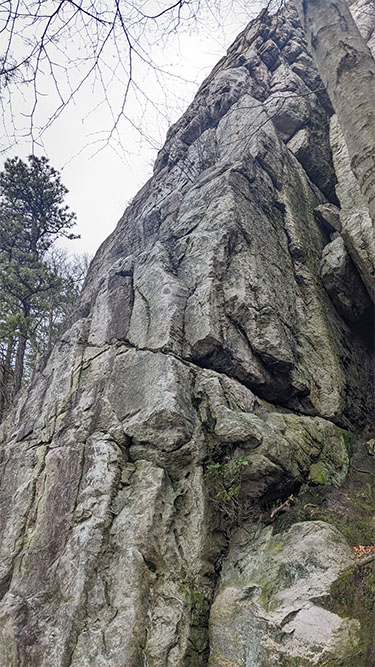 A towering rock outcrop rises above trees in a forest.