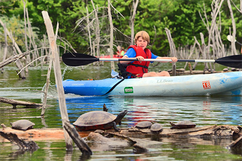 nature, outdoors, water, kayak, boat, person, kids, trees, turtles, wildlife