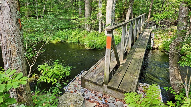 A wooden bridge with a handrain in the center over a creek in the woods with a rectangular orange mark.