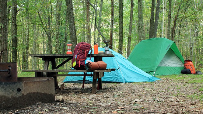 Two tents set up in woods next to picnic table with camping gear on it.