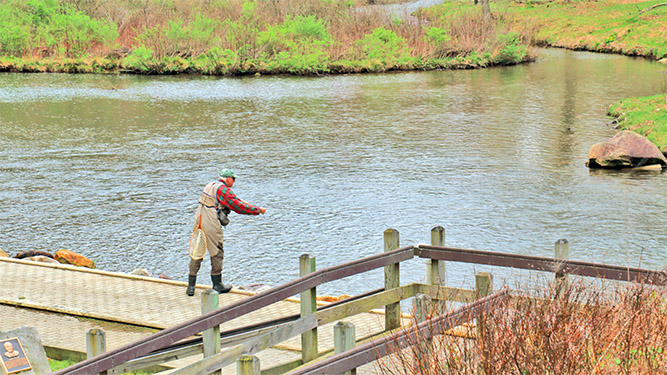 A person stands on the banks of a creek using a fly Fishing pole.