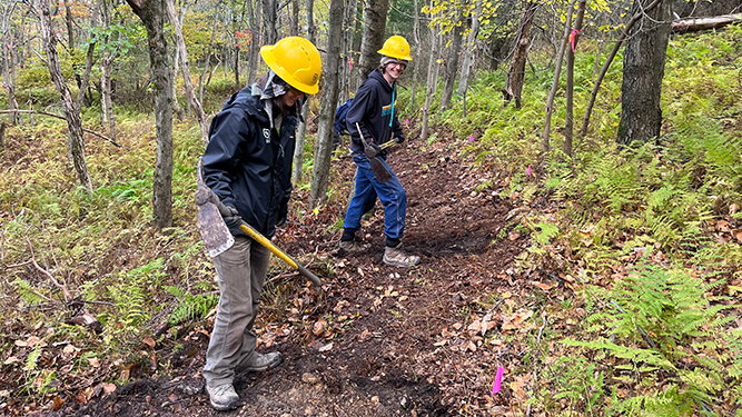 Young woman and man use tools to clear a section of trail in woods.