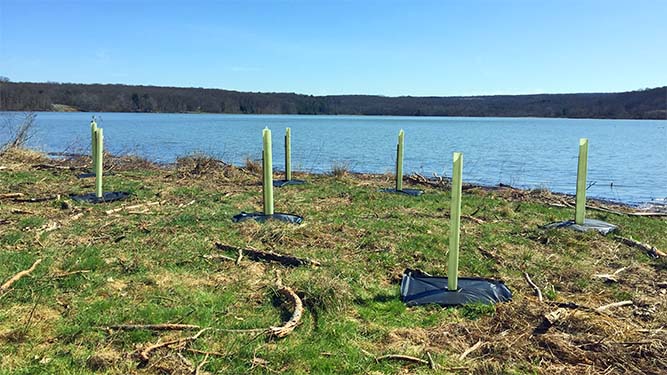 Plastic tubes sit upright on the gorund along a lake shore with forested hills on the opposite bank during winter.
