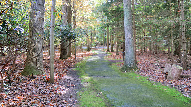A paved trail extendsinto a wooded area with small signs along the path. Moss covers parts of the path.