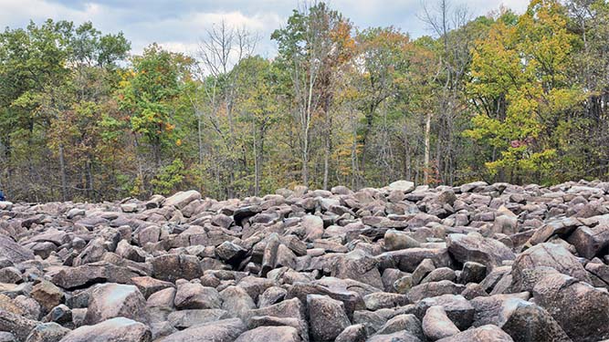 A small field of boulders 3 t o5 feet in length surrounded by a forest.