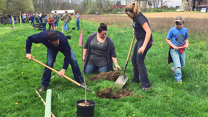 A group of people help to plant a tree outdoors in a grassy field.