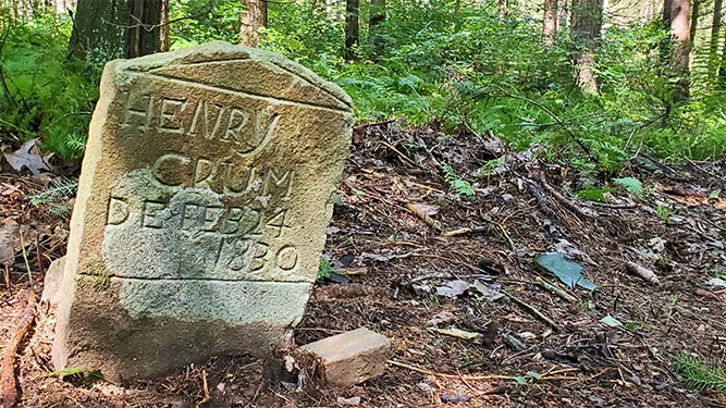 A rough, stone headstone sits crooked on the forest floor. Text says: Henry Crum DE Feb 24 1830