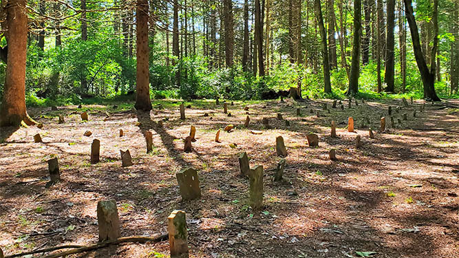 A cemetery in a forest made up of many small rock headstones lined in rows.