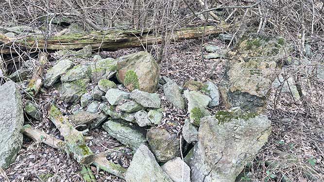 A pile of rocks in shrubs is all that remains of a building.