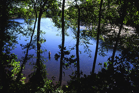 A wide, calm river is seen from high above through tall trees.