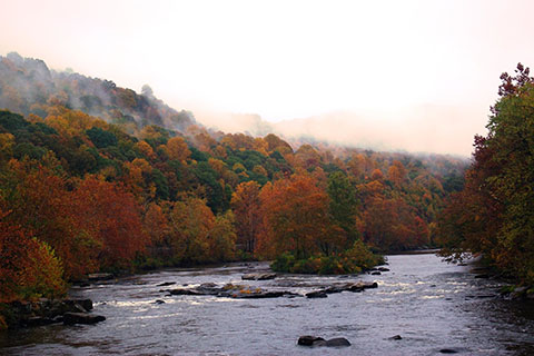 Morning fog hangs in the higher trees along a forested river gorge during fall colors.