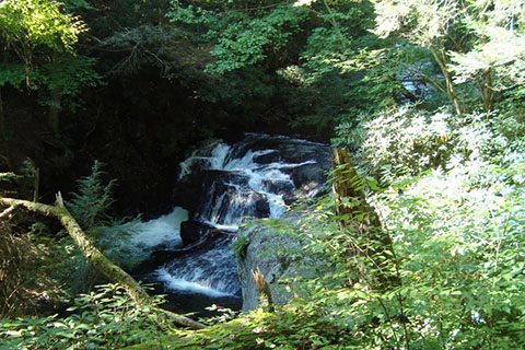 Beltzville State Park waterfall