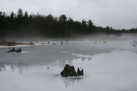 Fog hangs over an ice covered lake filled with eroded tree stumps. Forests line the banks.