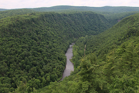 A steep, forested gorge with a large creek flowing at the botom. Surrounding mountain ridges stretch into the dustance.