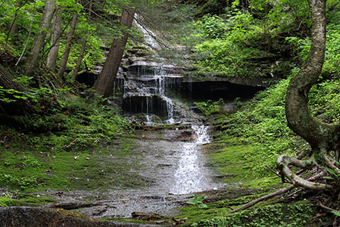 Colton Point State Park waterfall