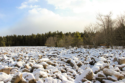 Snow covers a large boulder field surrounded by forest.