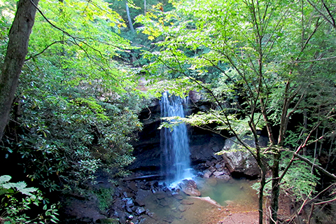 Ohiopyle State Park waterfall