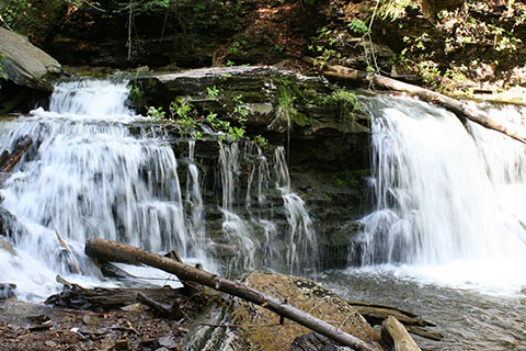 A cascading waterfall is split into two streams over a rock in a forest.
