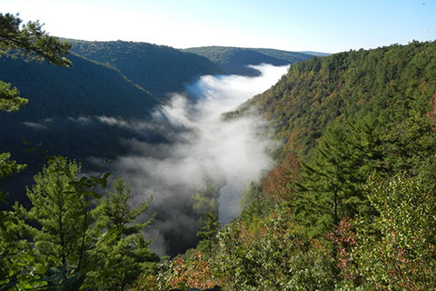 A deep mountain gorge is filled with morning fog and forests.